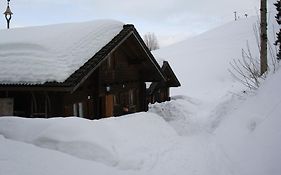 Ferienwohnungen im Blockhaus Metzler